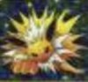 Jolteon.jpg