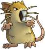 raticate.png