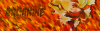 Arcanine Banner.png