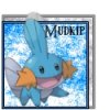 Mudkip (Avatar).jpg