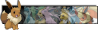 AllEeveelutionsBanner.png