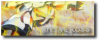 Metagross banner 1.png