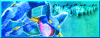 Swampert_ex_Banner.png