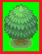 tree.png