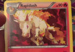 Rapidash Generations