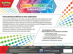 Pokemon-TCG-Grand-Adventure-Collection-Back_EN-copy-1-300x225.jpg