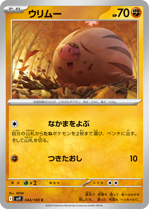 pokemonex-card-3.png